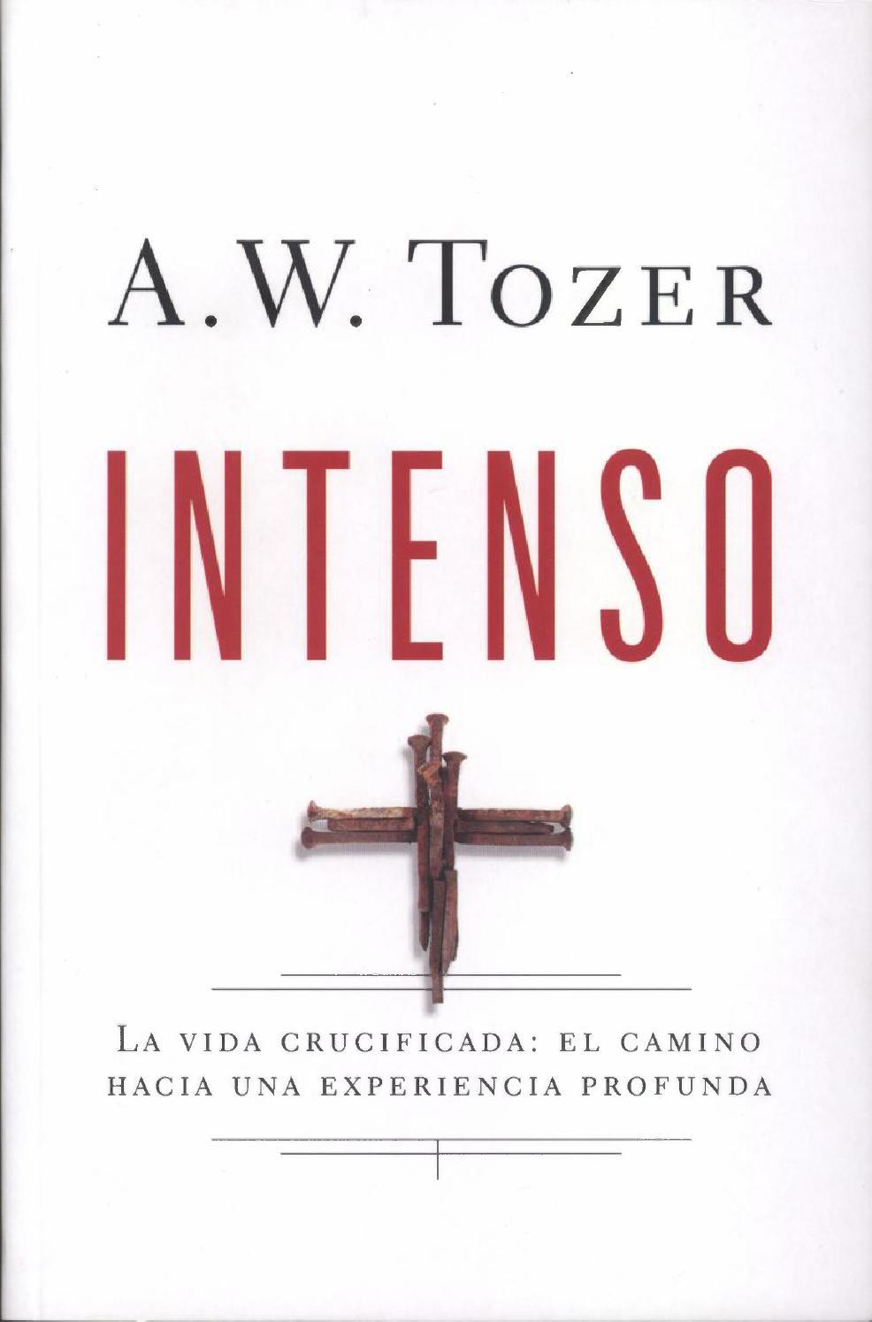 Intenso book cover