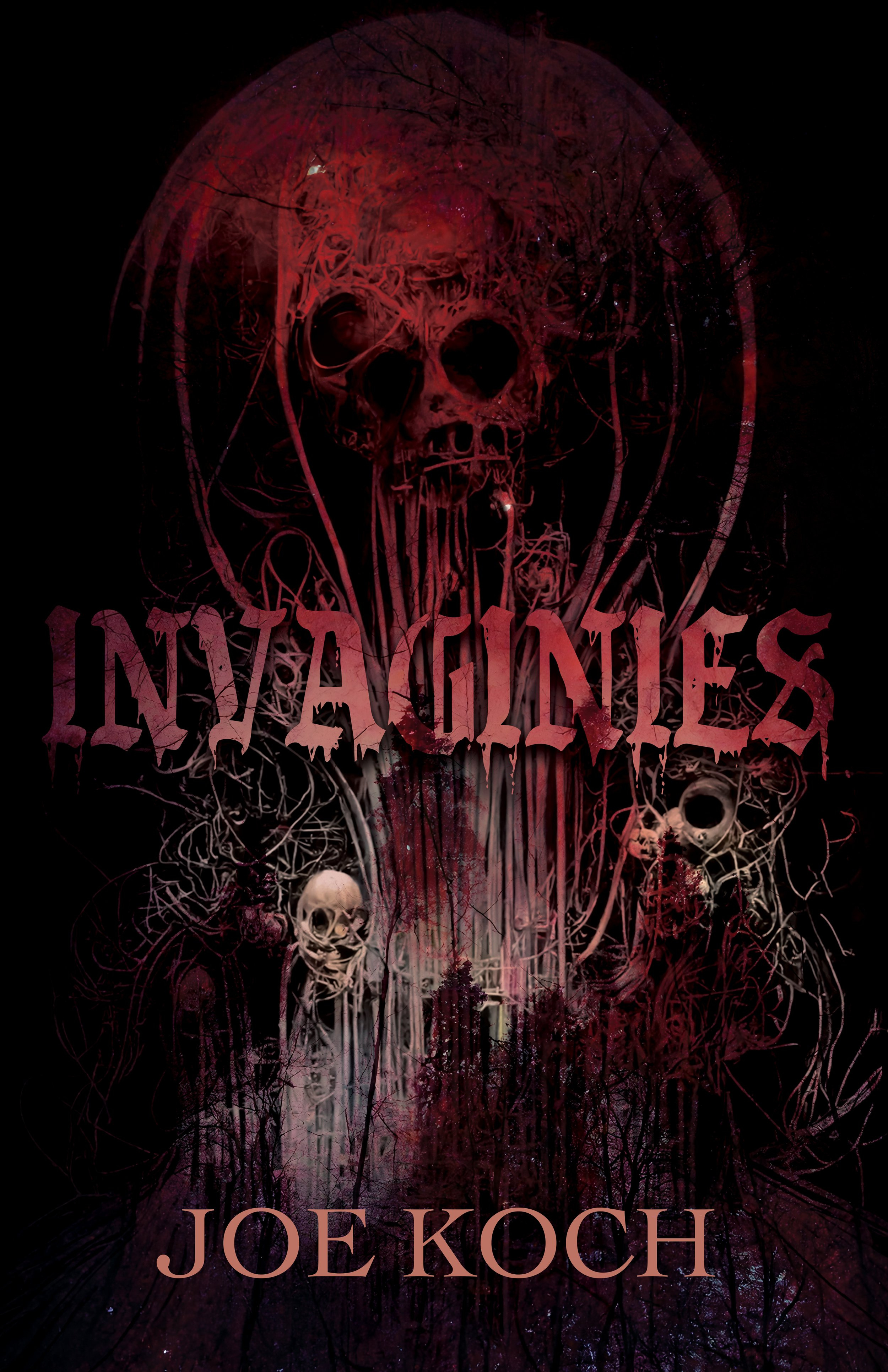 Invaginies book cover