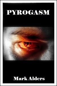 Pyrogasm book cover