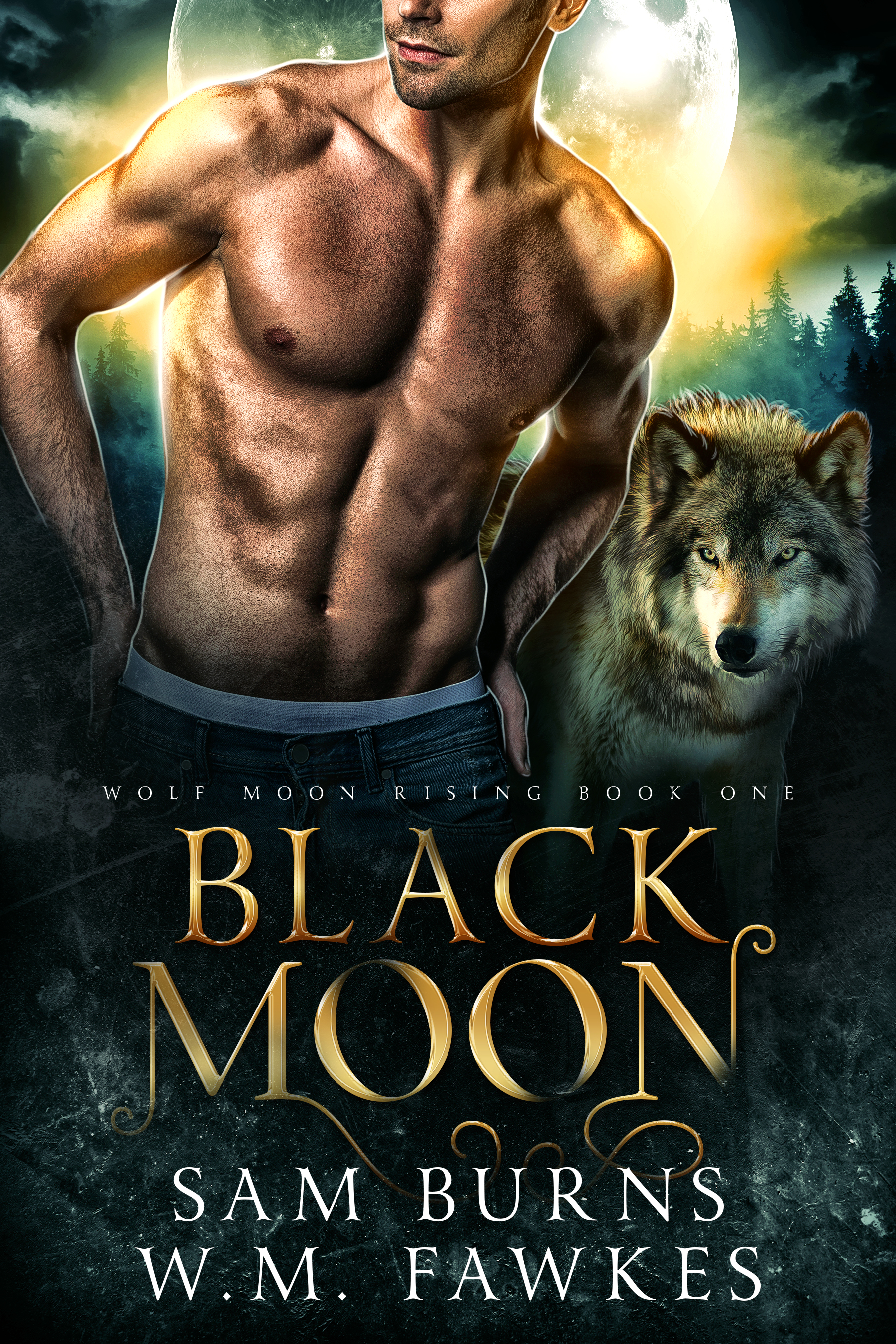 Wolf Moon Rising book cover 1