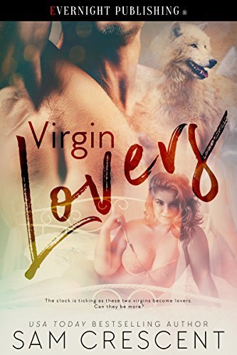 Virgin Lovers book cover