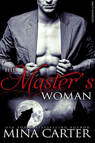 Master of the City book cover 3