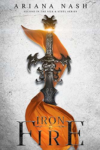 Silk and Steel book cover 2