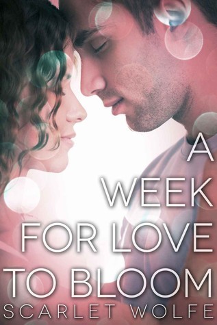 Soul Mates 101 book cover 1