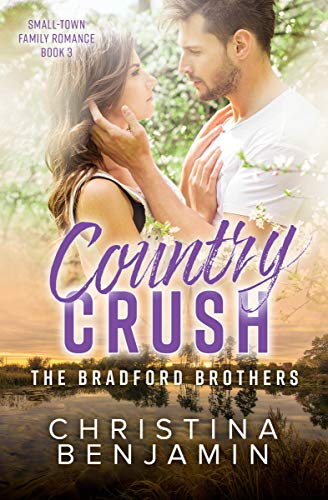The Bradford Brothers book cover 3