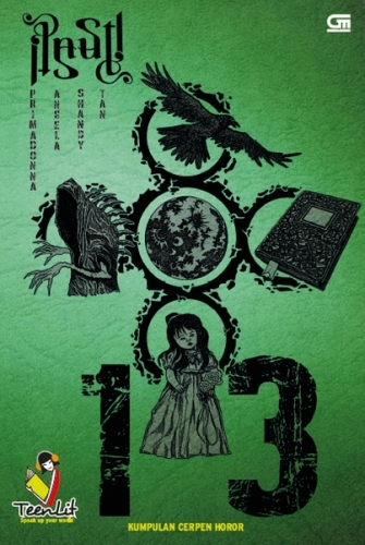 13 book cover