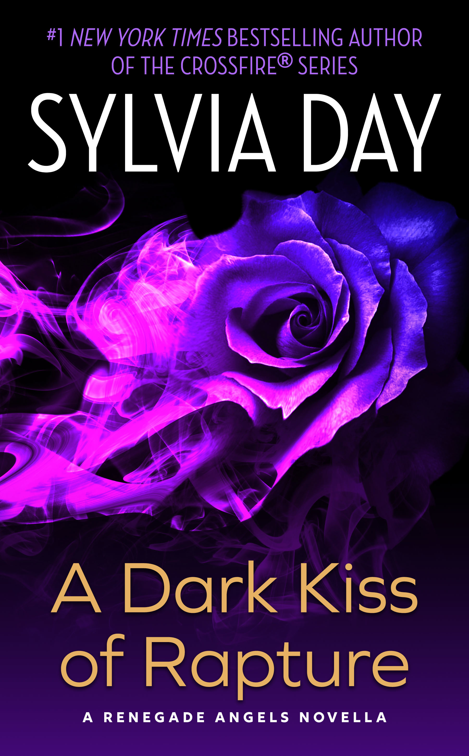 A Dark Kiss of Rapture book cover