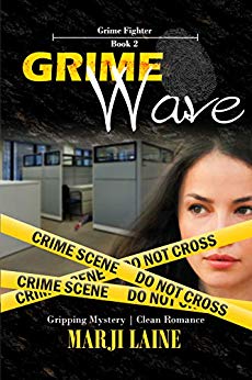 Grime Fighters book cover 2