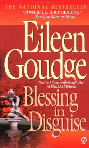 Blessing in Disguise book cover