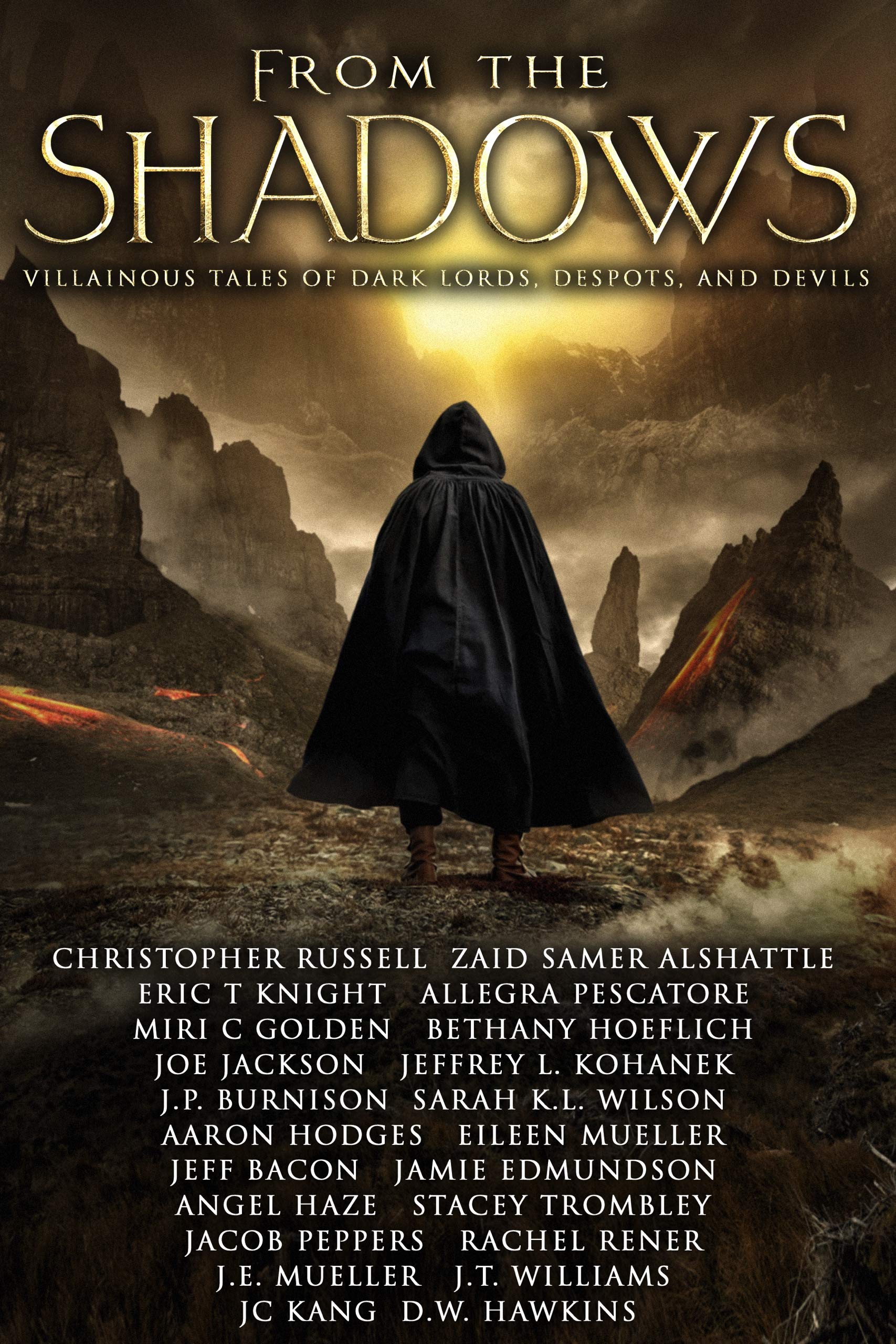 From the Shadows book cover