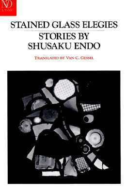 Stained Glass Elegies book cover