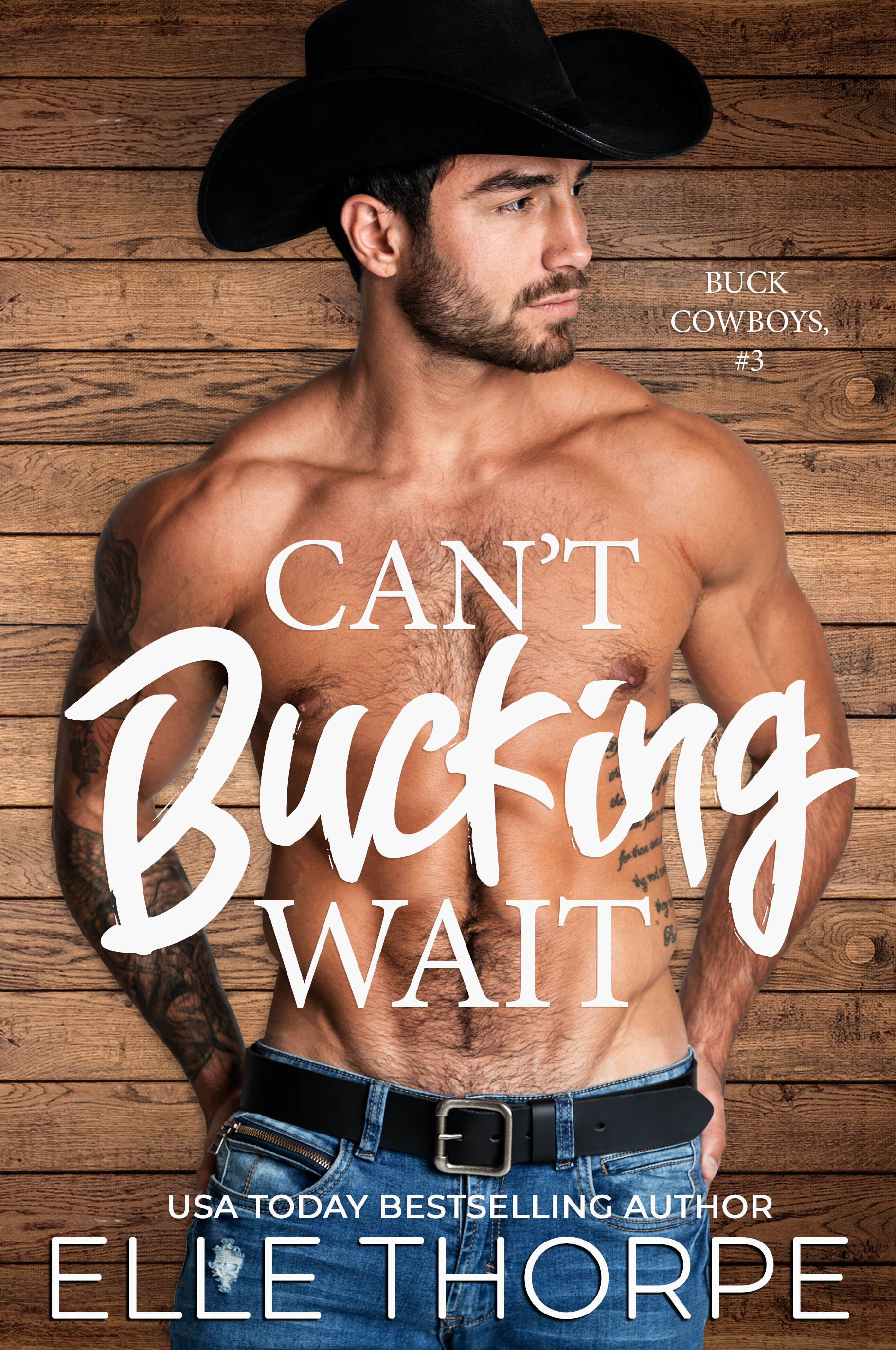 Buck Cowboys book cover 3