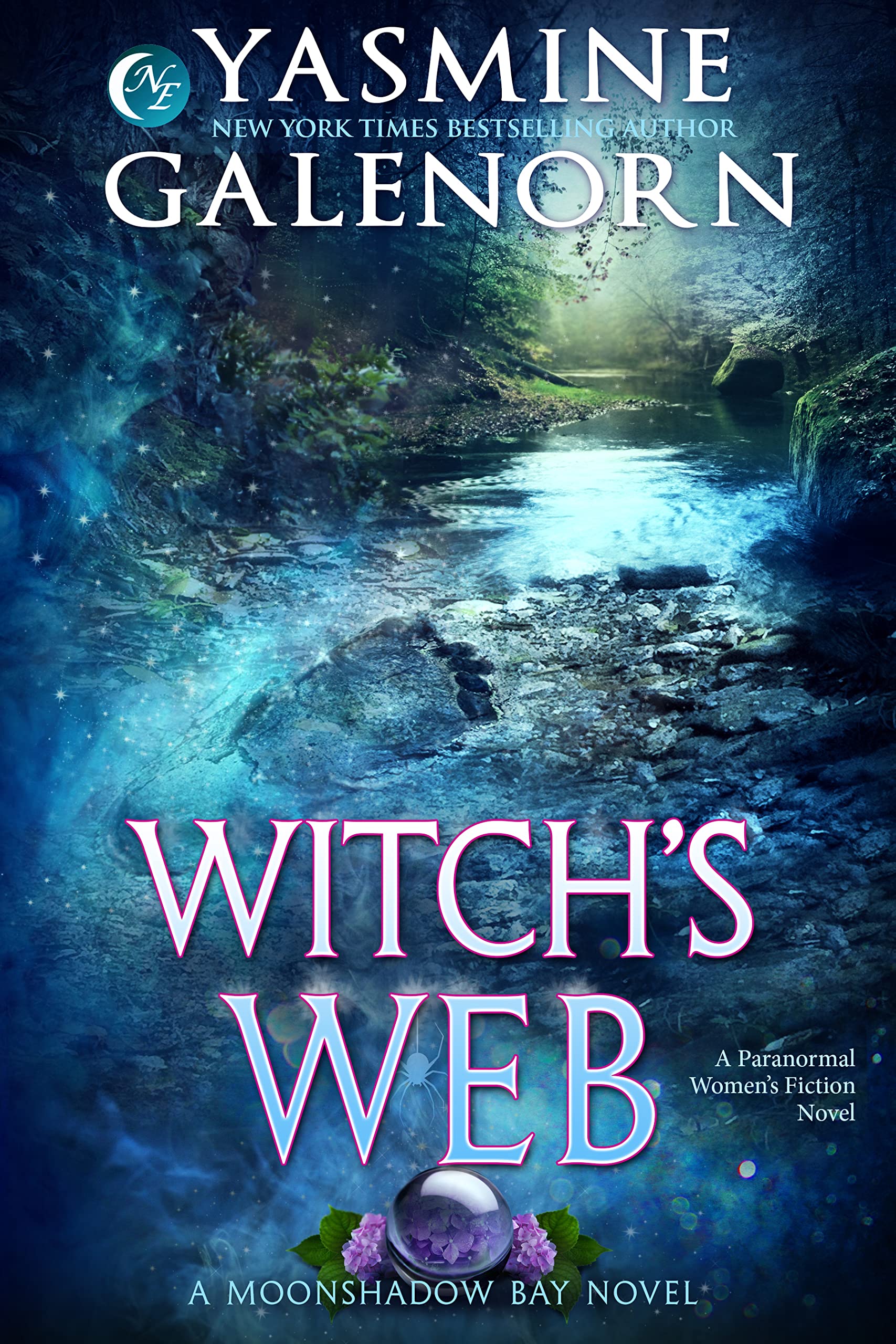Witch's Web book cover