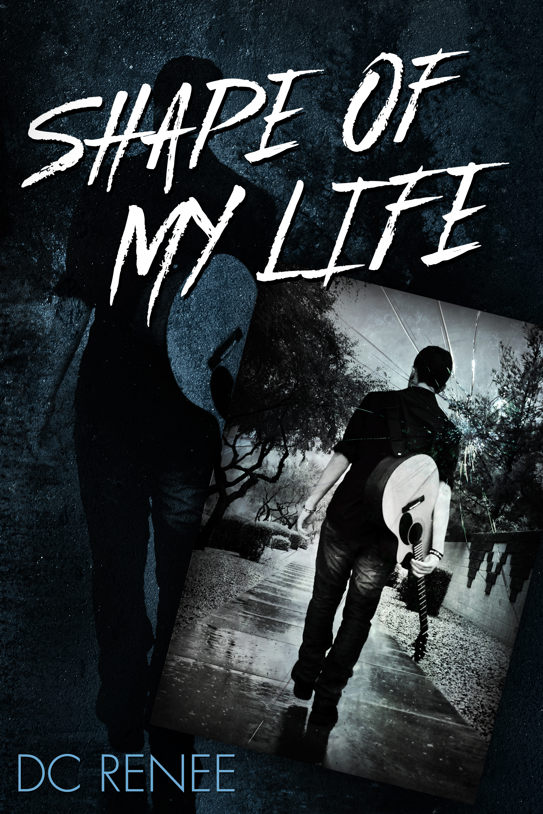 Shape of My Life book cover