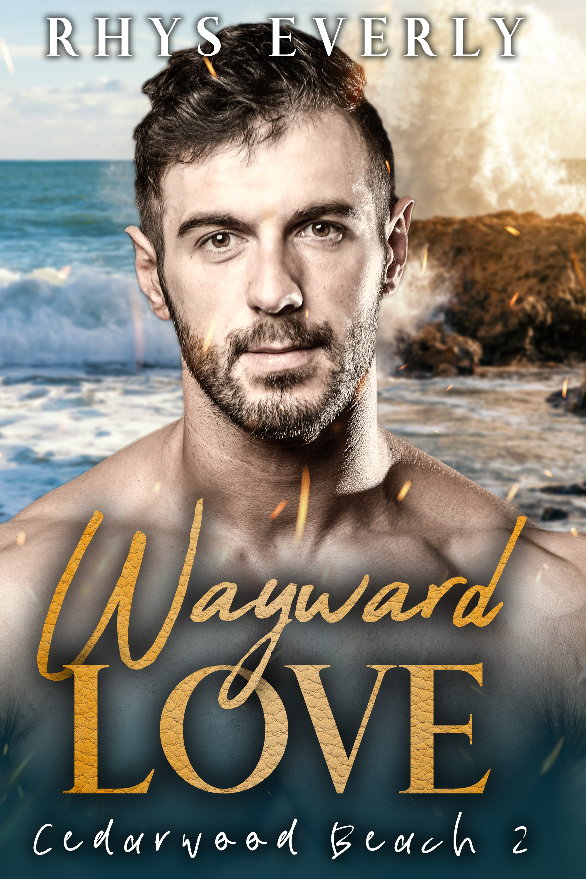 Cedarwood Beach book cover 2