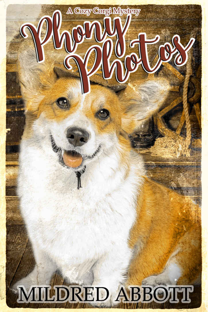Phony Photos book cover