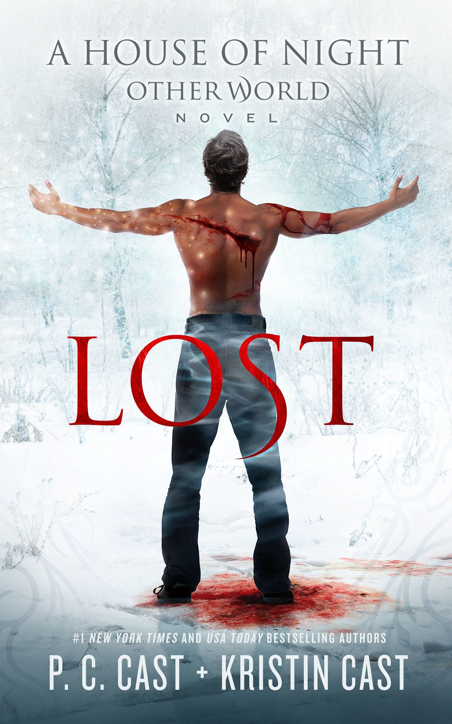 House of Night Other World book cover 2