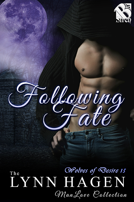 Following Fate book cover