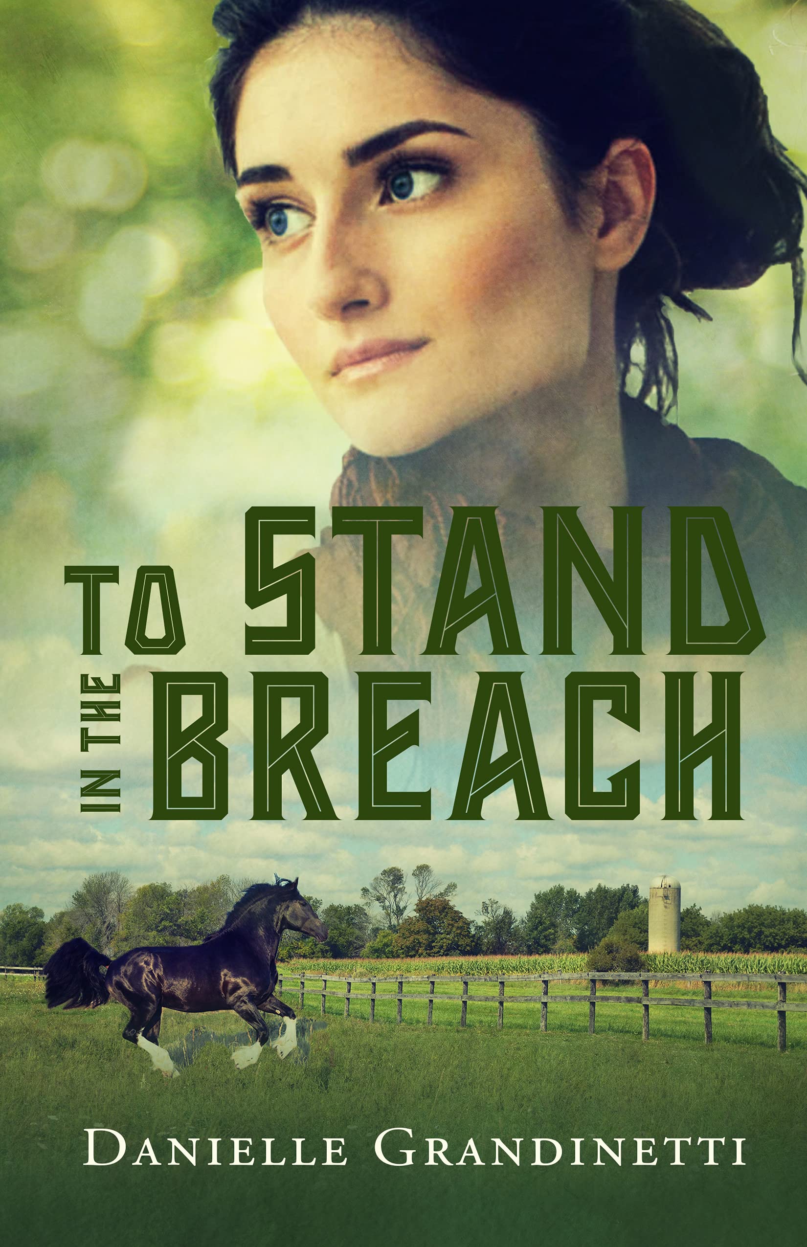 To Stand in the Breach book cover