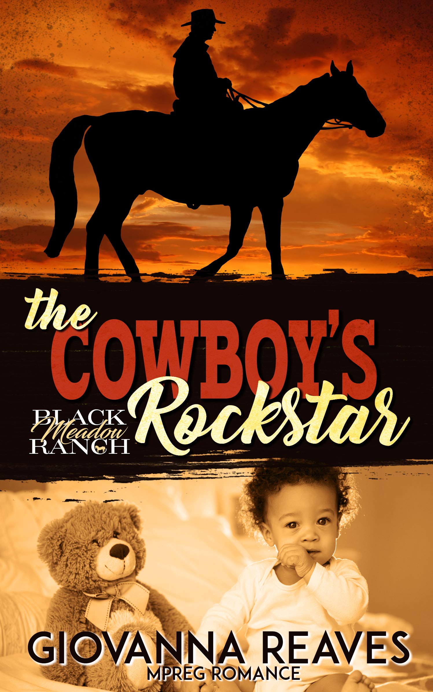 Black Meadow Ranch book cover 2