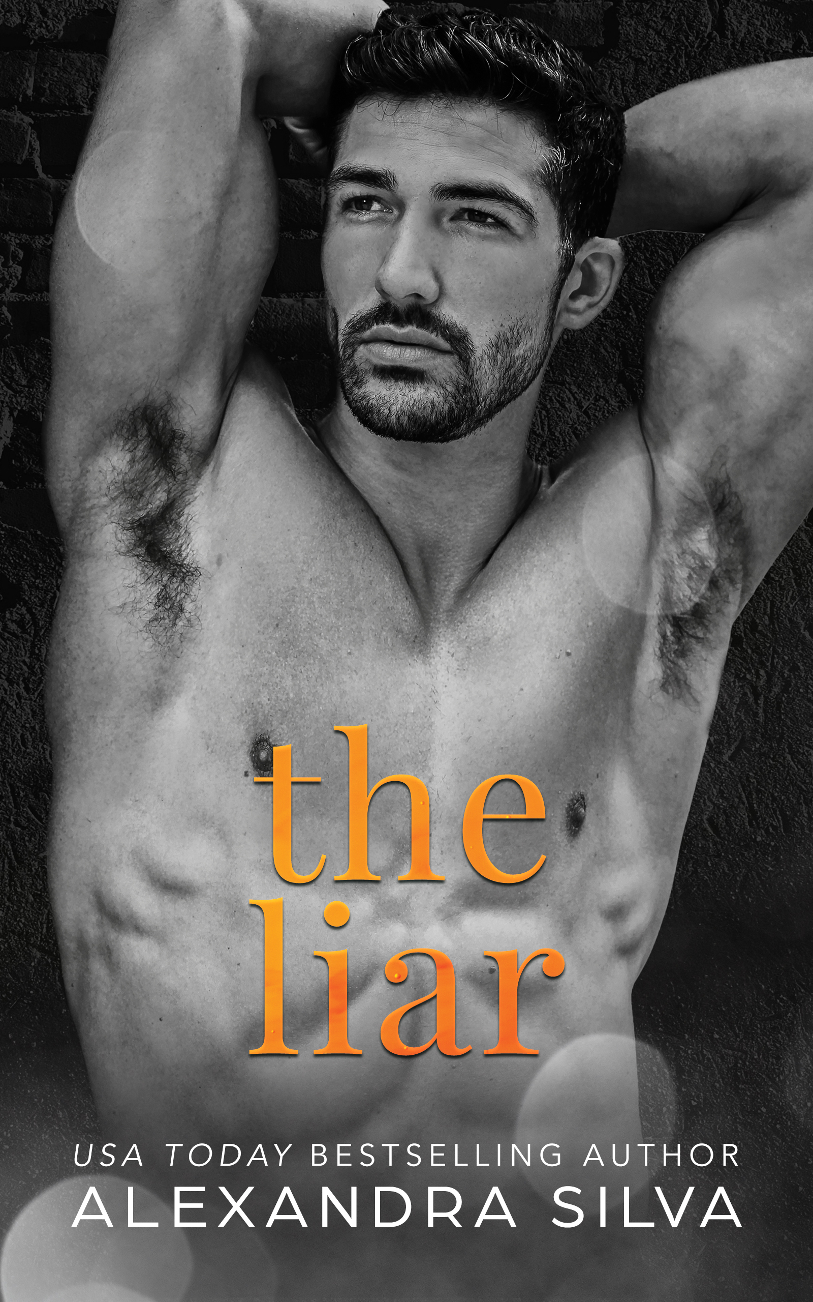 The Liar book cover
