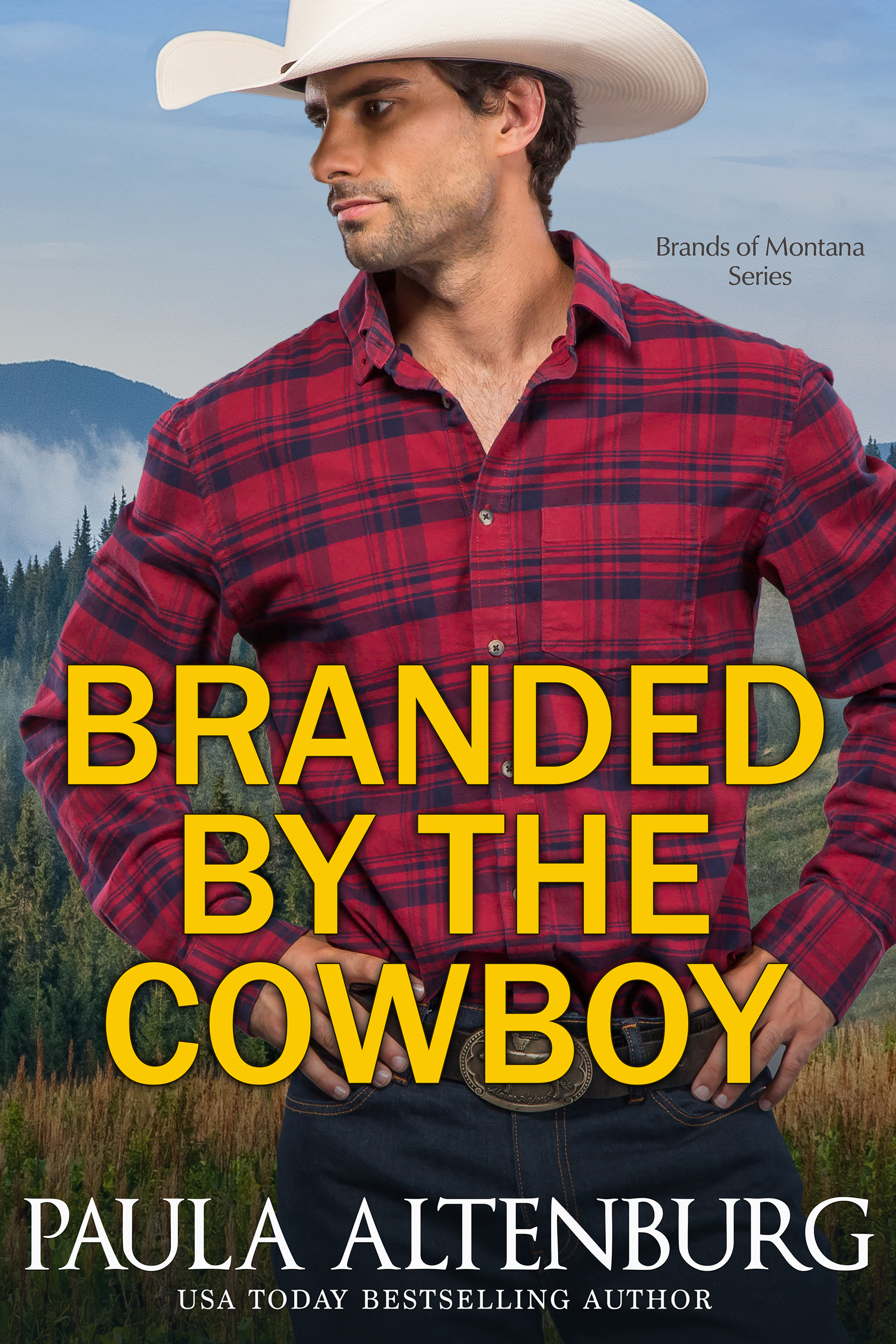 The Brands of Montana book cover 3