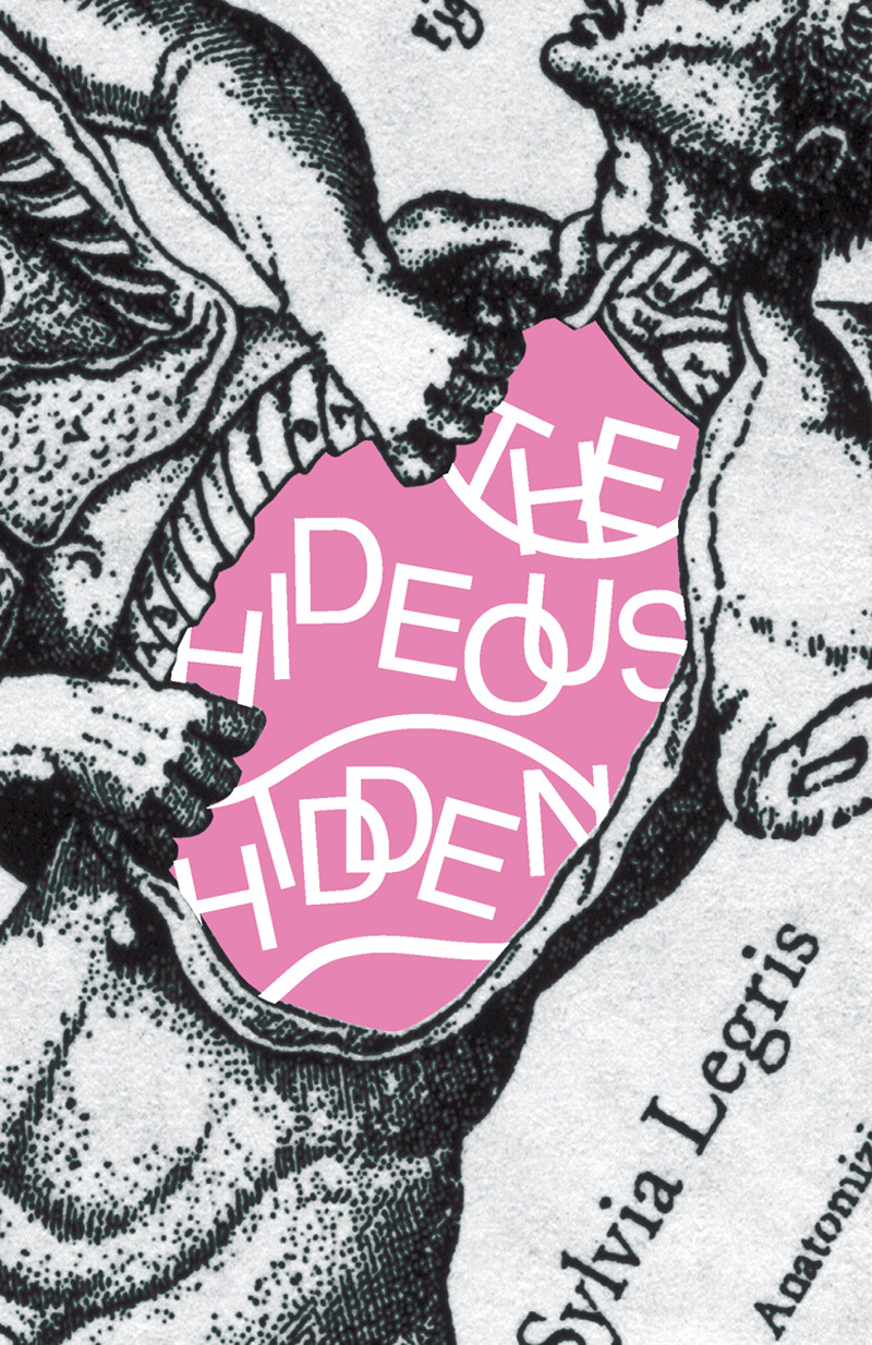 The Hideous Hidden book cover