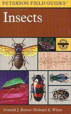 A Peterson Field Guide To Insects book cover