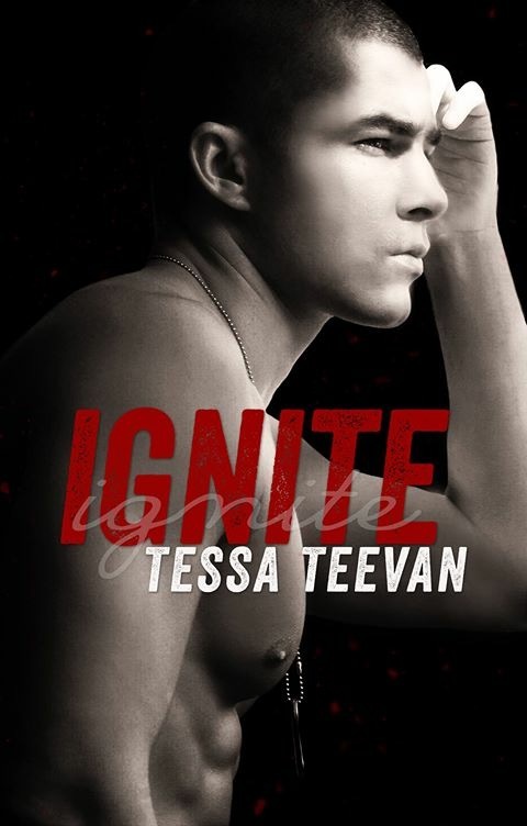 Explosive book cover 1
