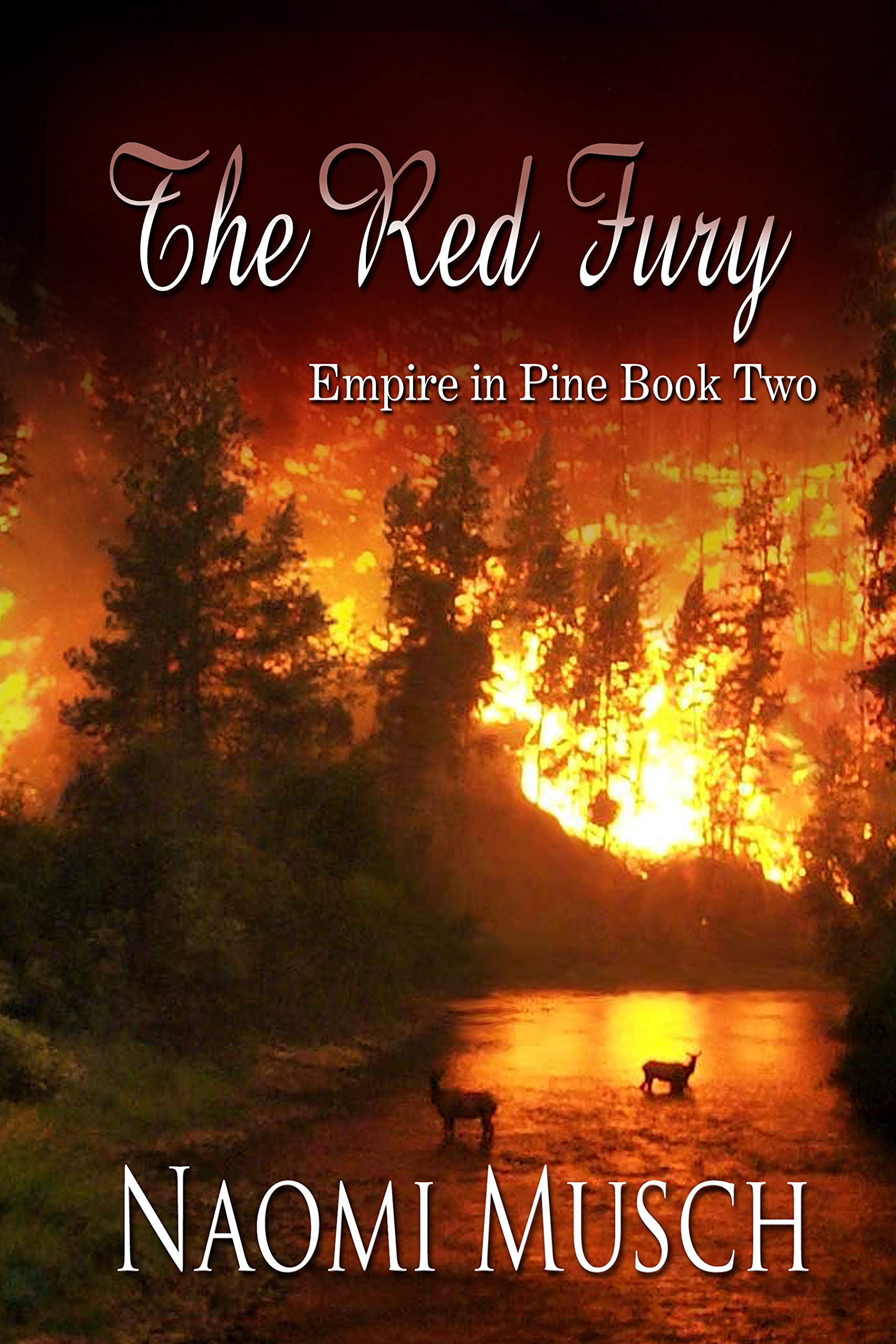 The Red Fury book cover