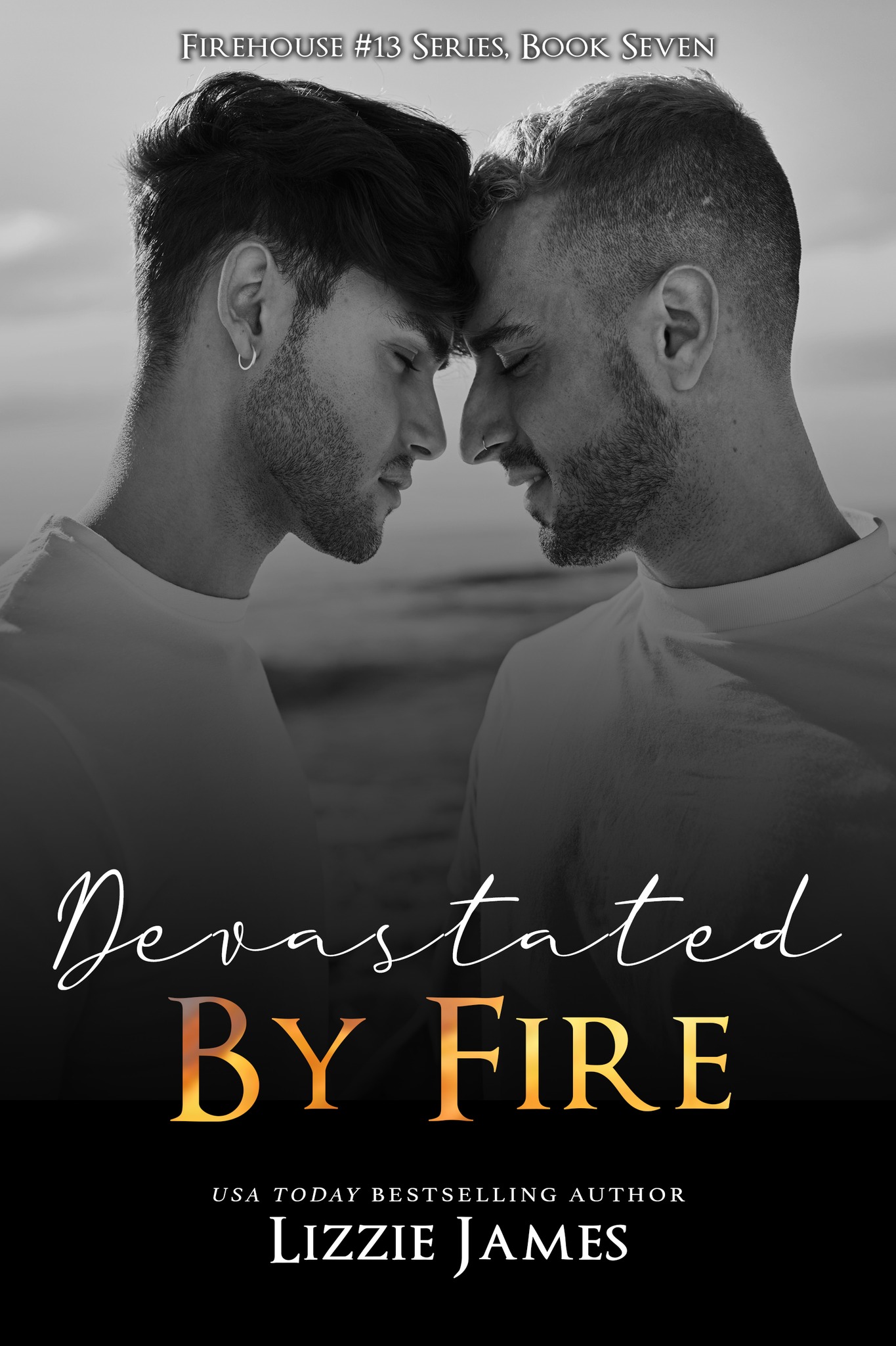 Devastated by Fire book cover