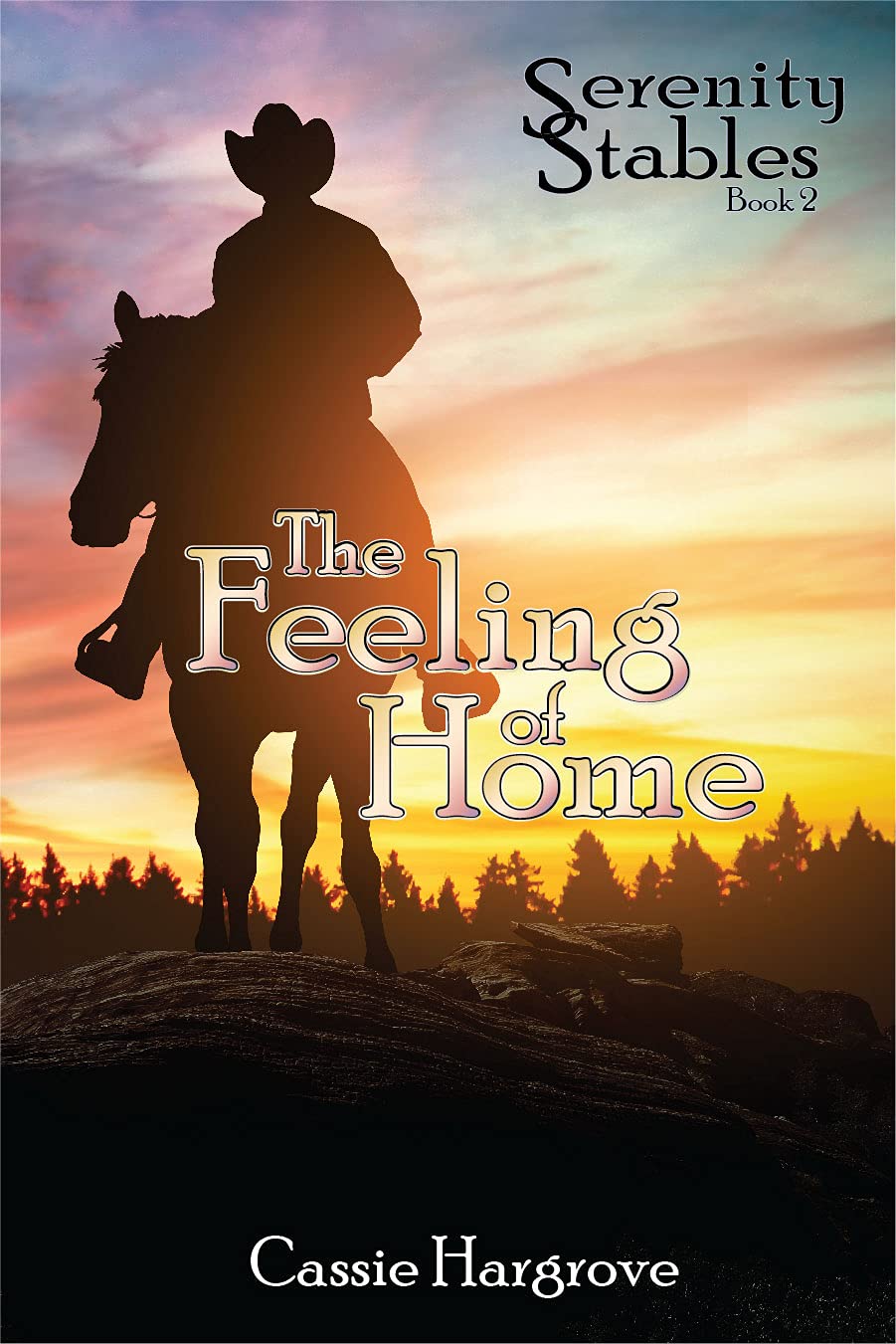 The Feeling of Home book cover