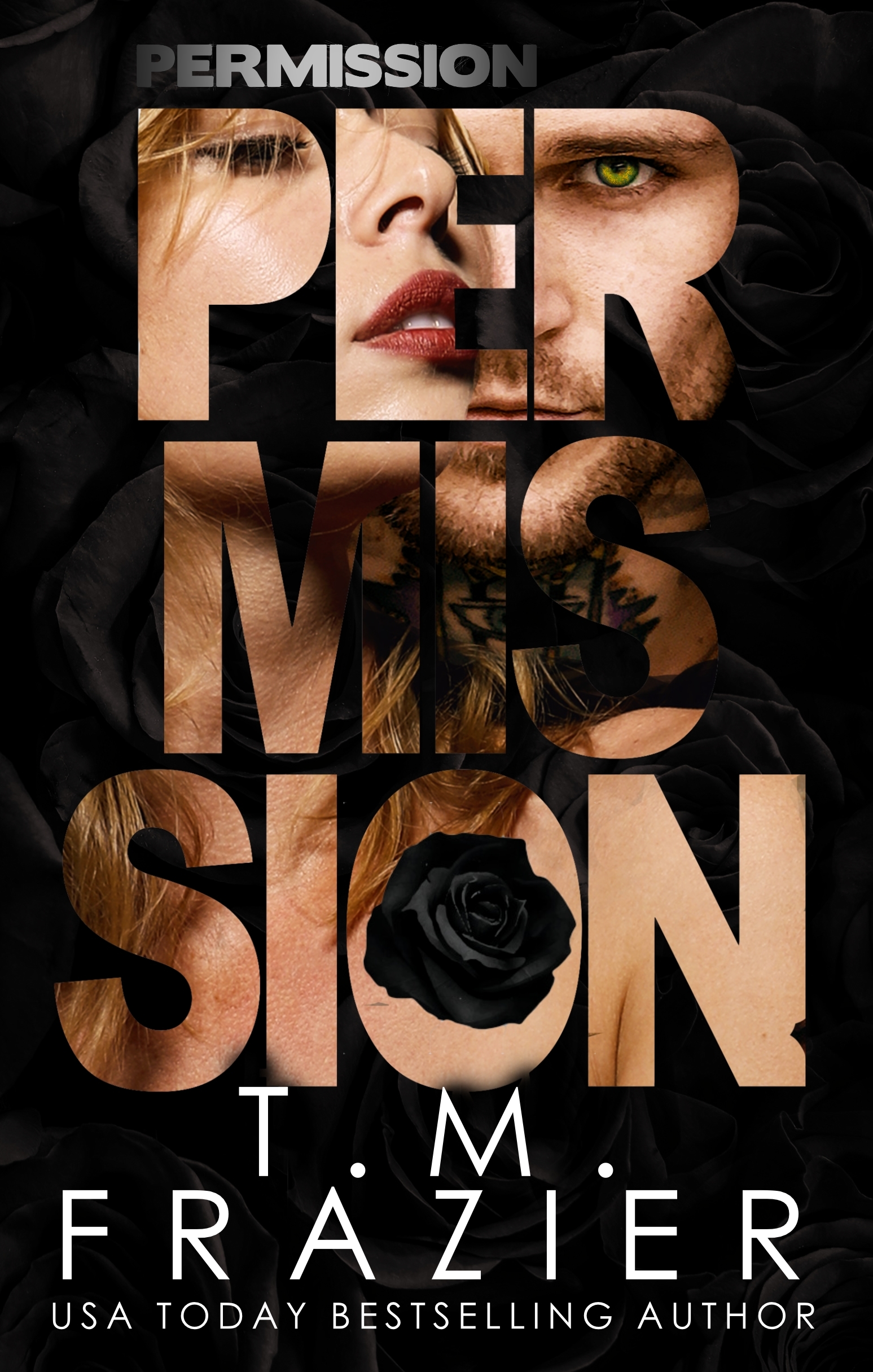 Perversion Trilogy book cover 3