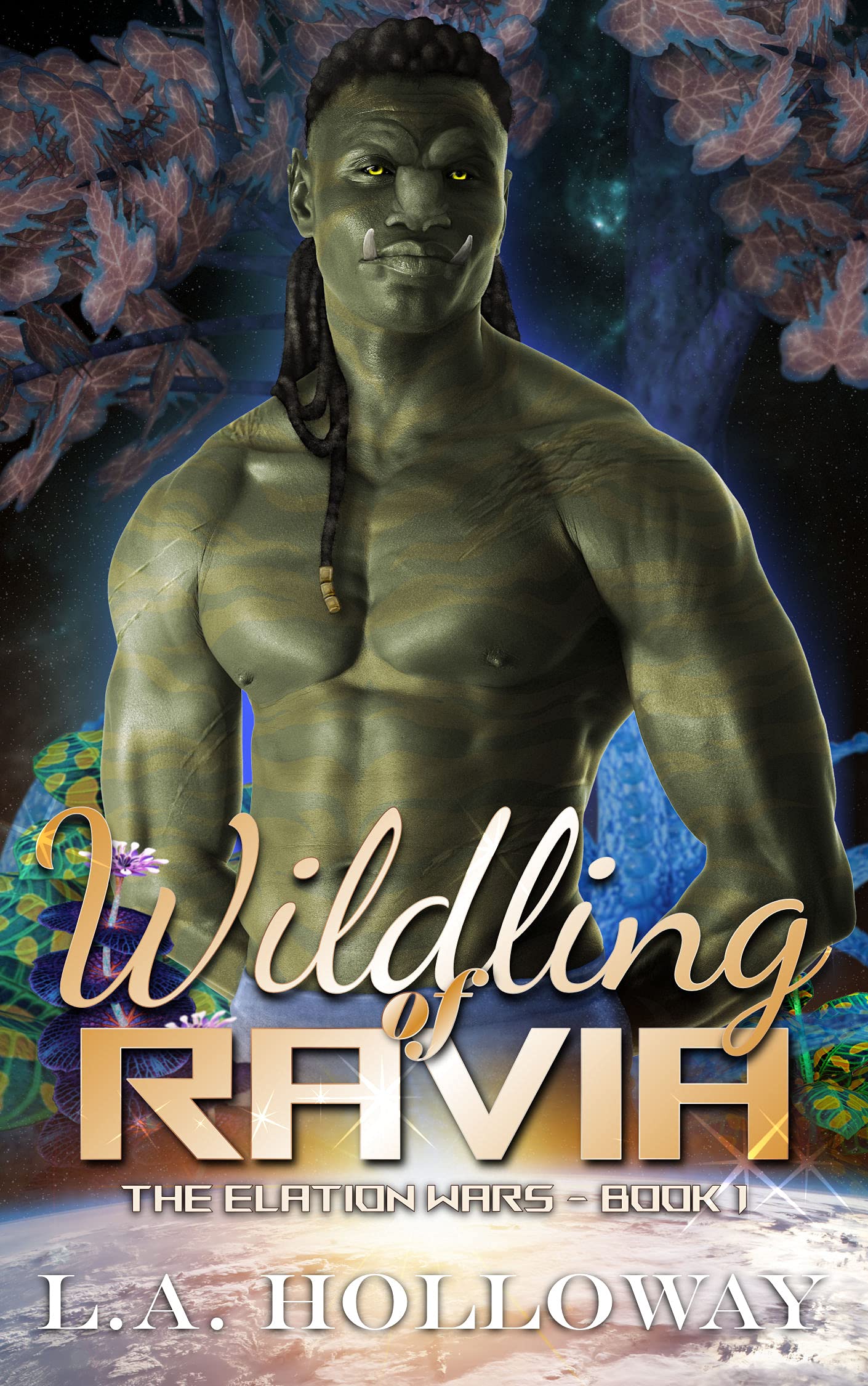 The Elation Wars book cover 1