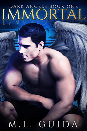 Dark Angels book cover 1