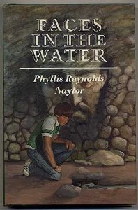 York book cover 2