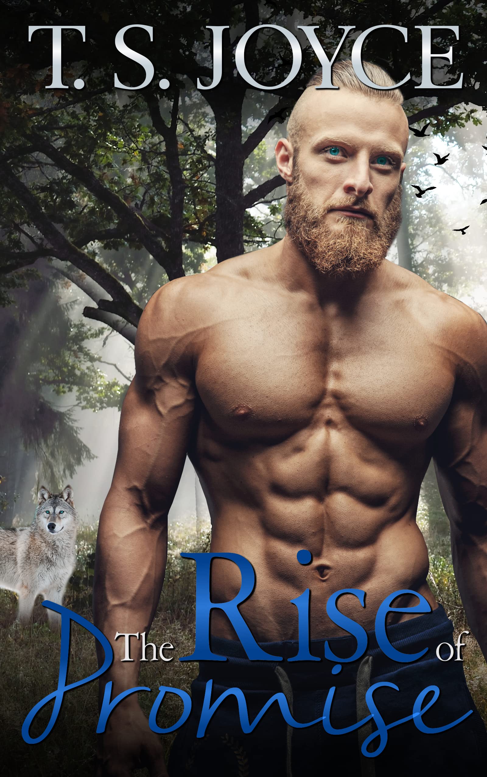 The Wolves of Promise Falls book cover 2