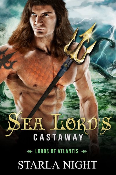 Sea Lord's Castaway book cover