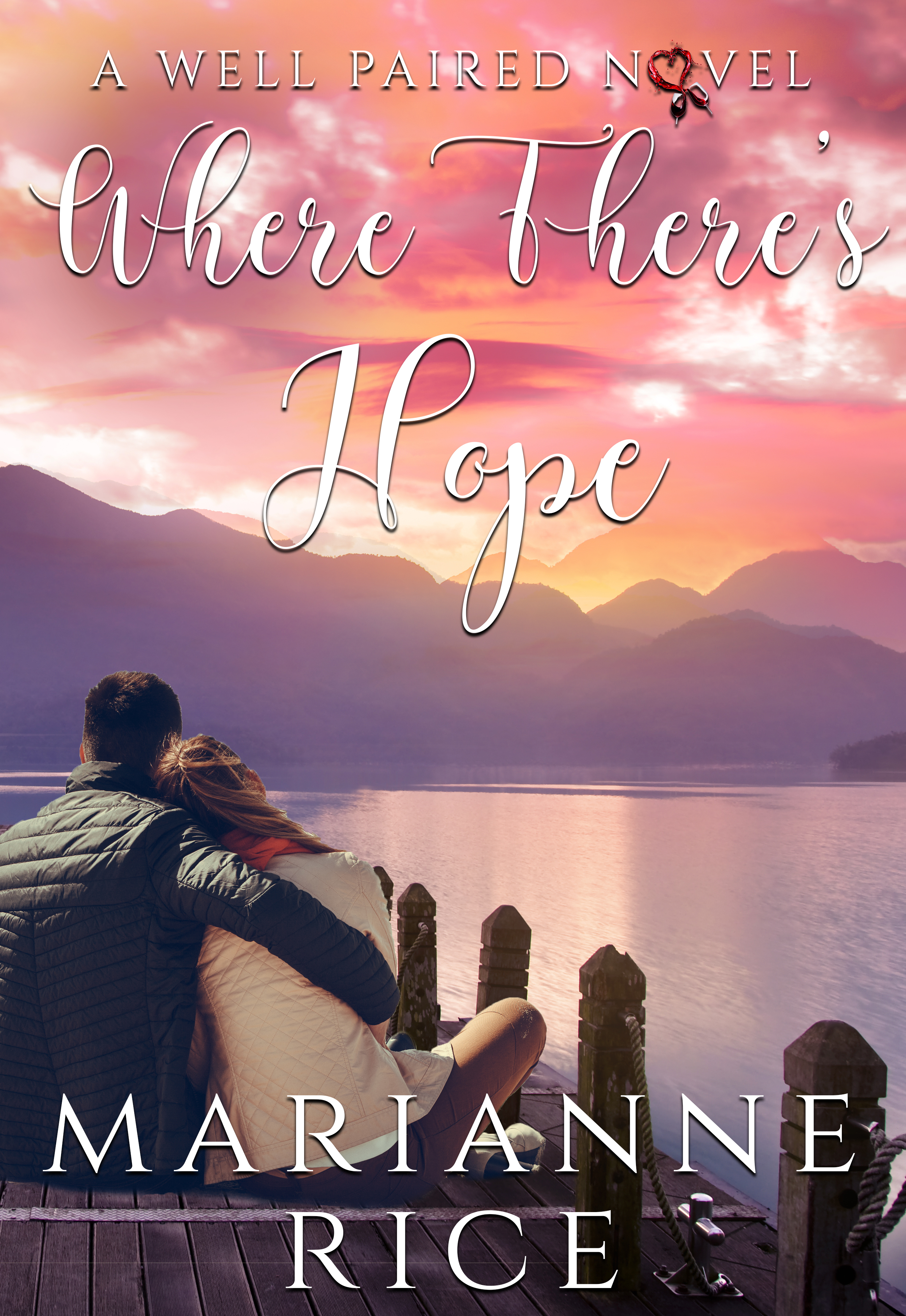 A Well Paired Novel book cover 2