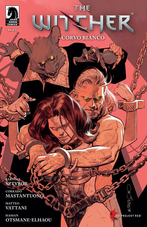 The Witcher book cover