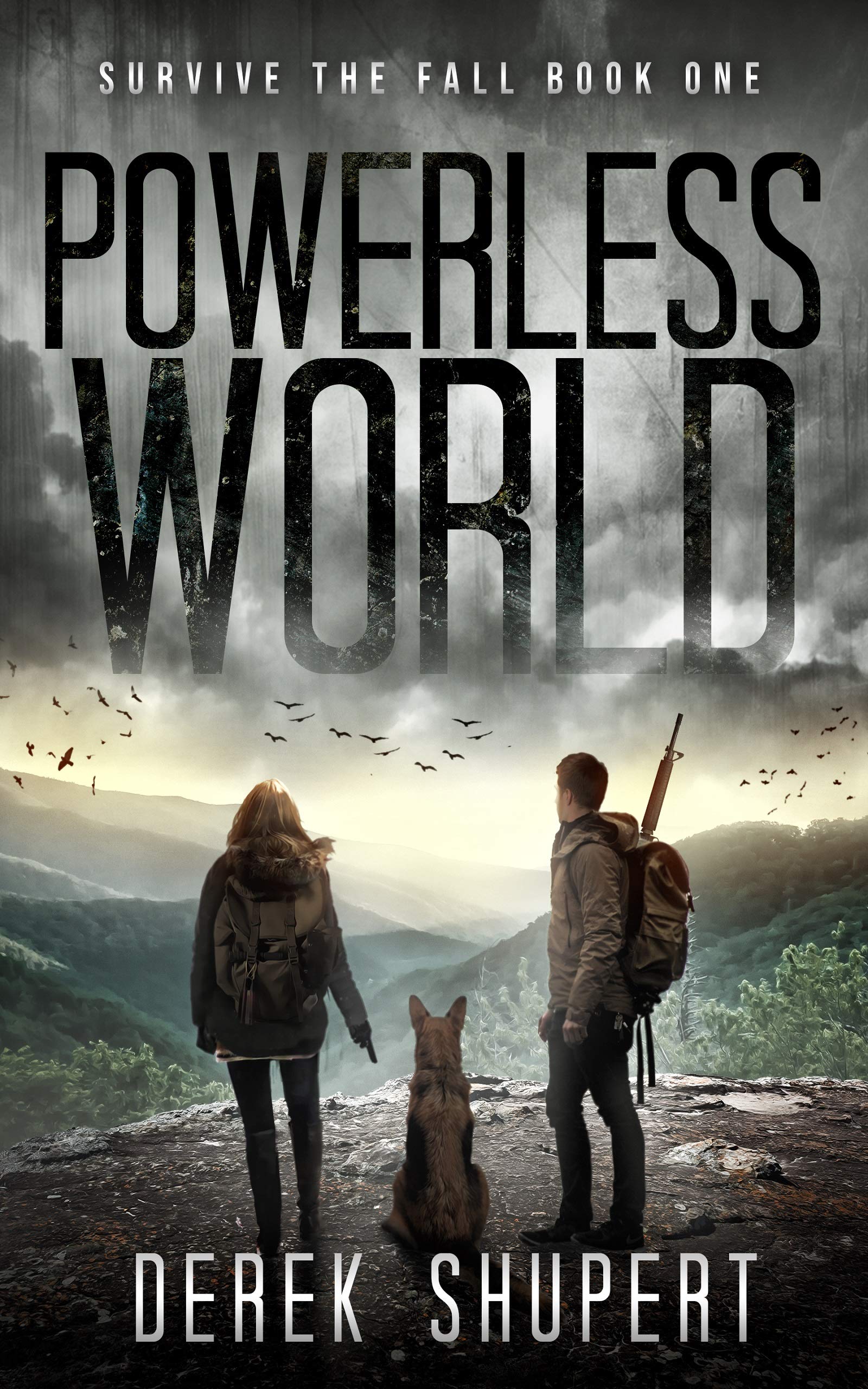 Survive the Fall book cover 1