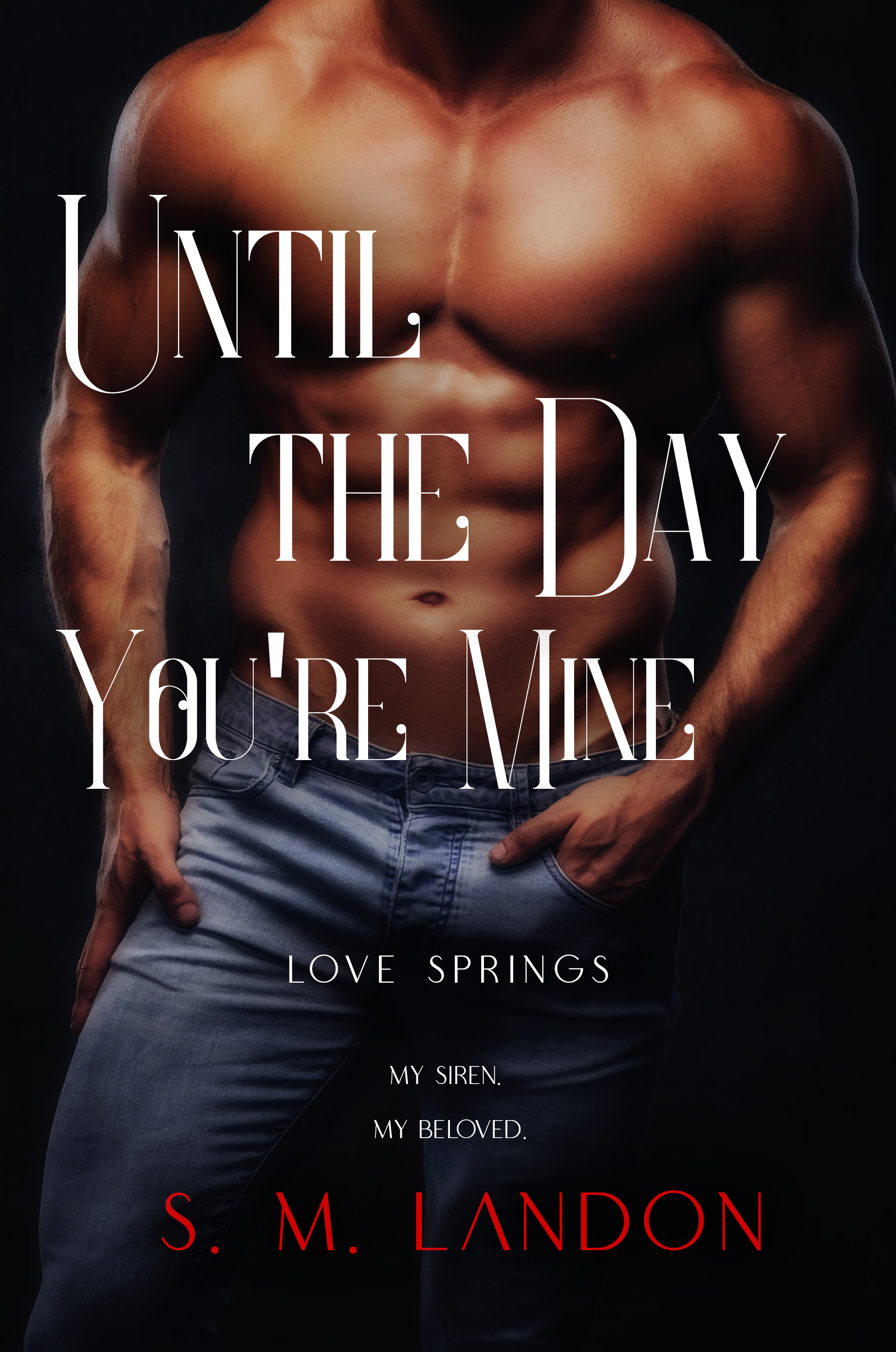 UNTIL THE DAY YOU'RE MINE book cover