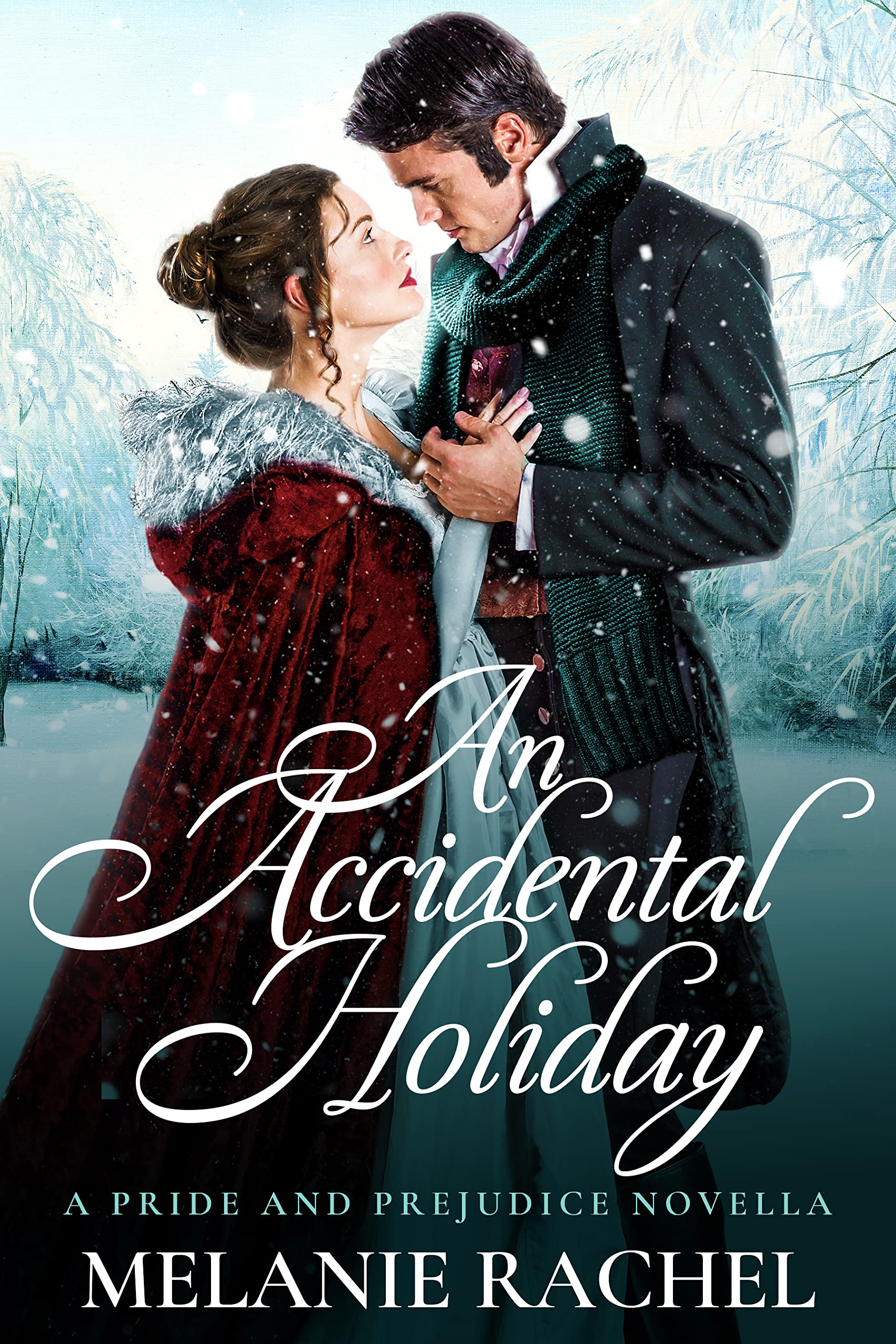 An Accidental Holiday book cover