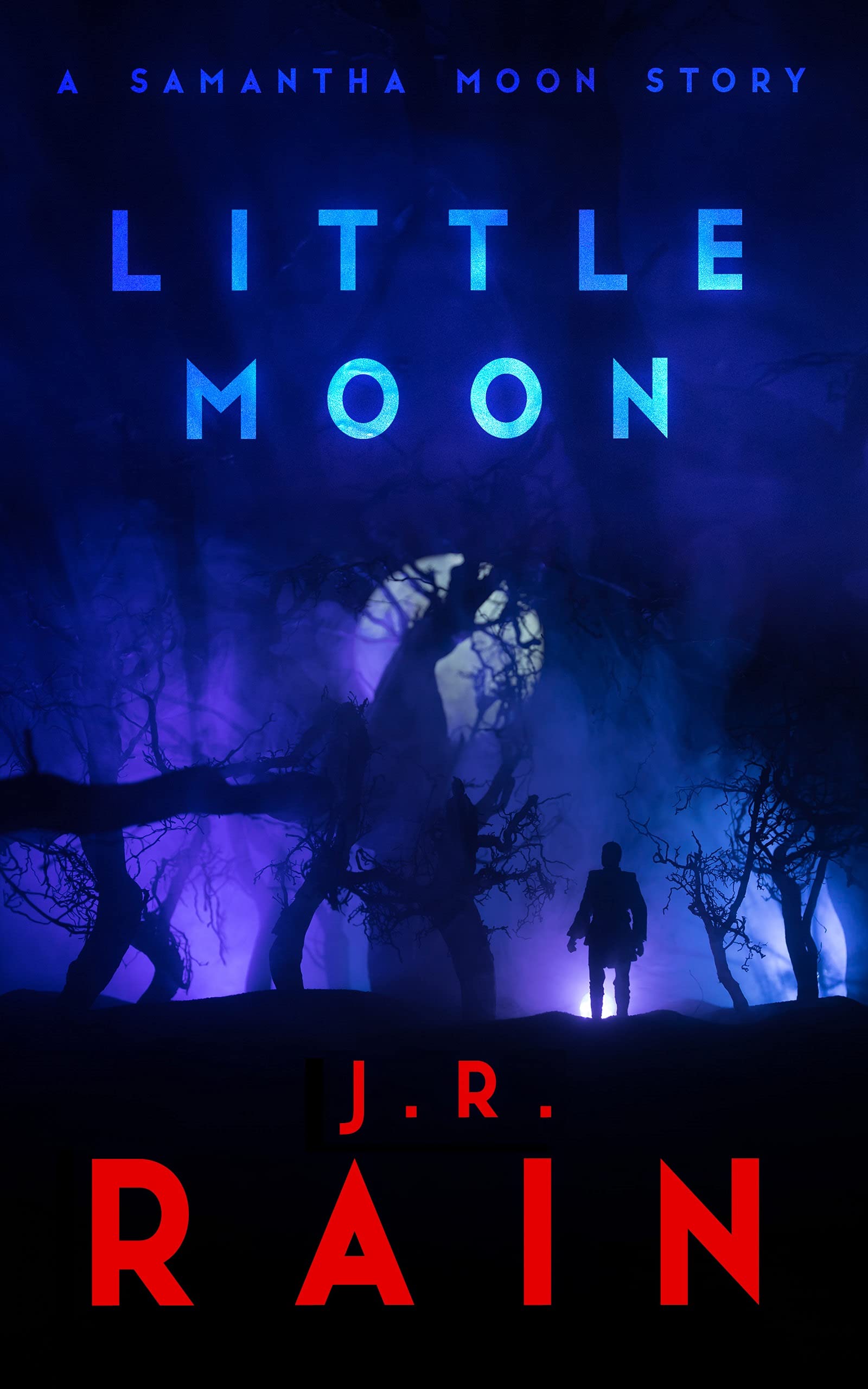 Little Moon book cover