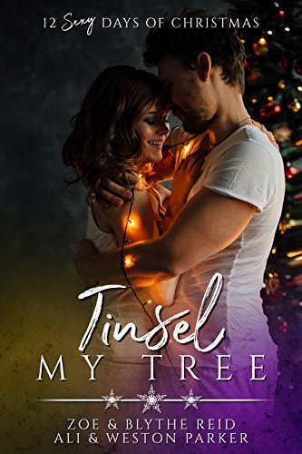 12 Sexy Days of Christmas book cover 2