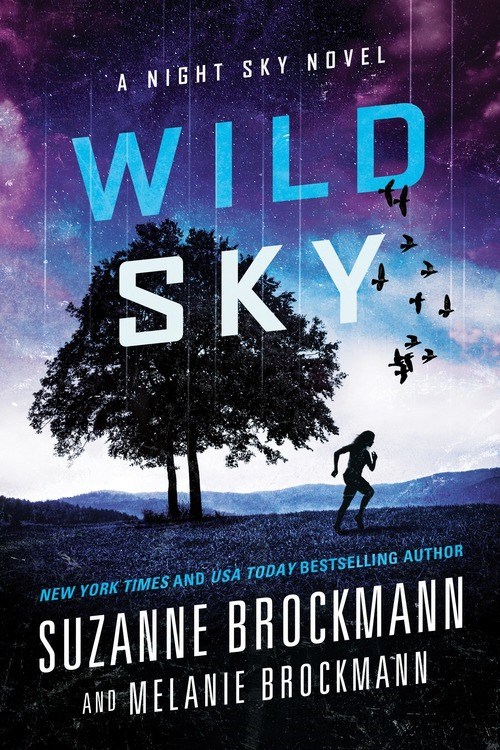 Night Sky book cover 2