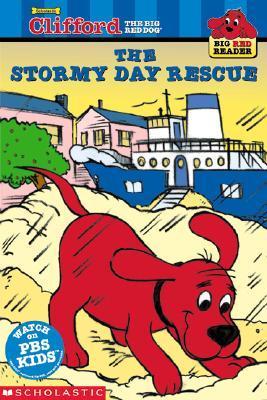 The Stormy Day Rescue book cover