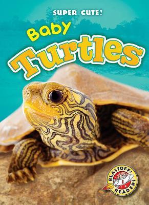 Baby Turtles book cover