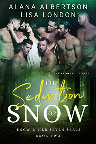 The Seduction of Snow book cover