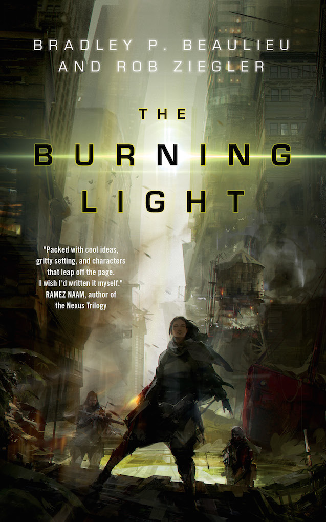 The Burning Light book cover